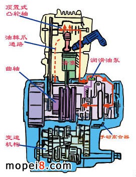 CBX250EĦ܇lәCаbĝDӱõĽYD