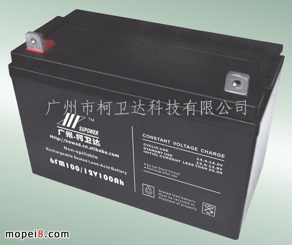 12V100Ah(D)U늳 ܷ늳VRLA BATTERY