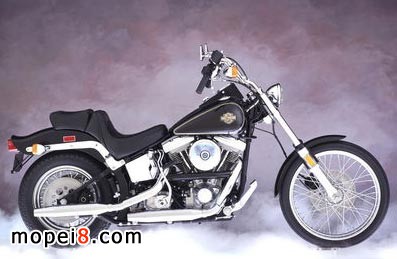 1984SoftaildMlәC