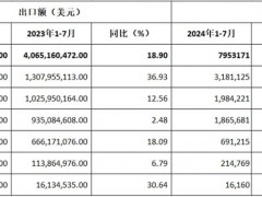 2024年前七月：中國摩托車出口漲勢穩(wěn)定，拉丁美洲成最大增長點